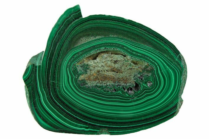 Polished Malachite Stalactite Slice - Congo #251851